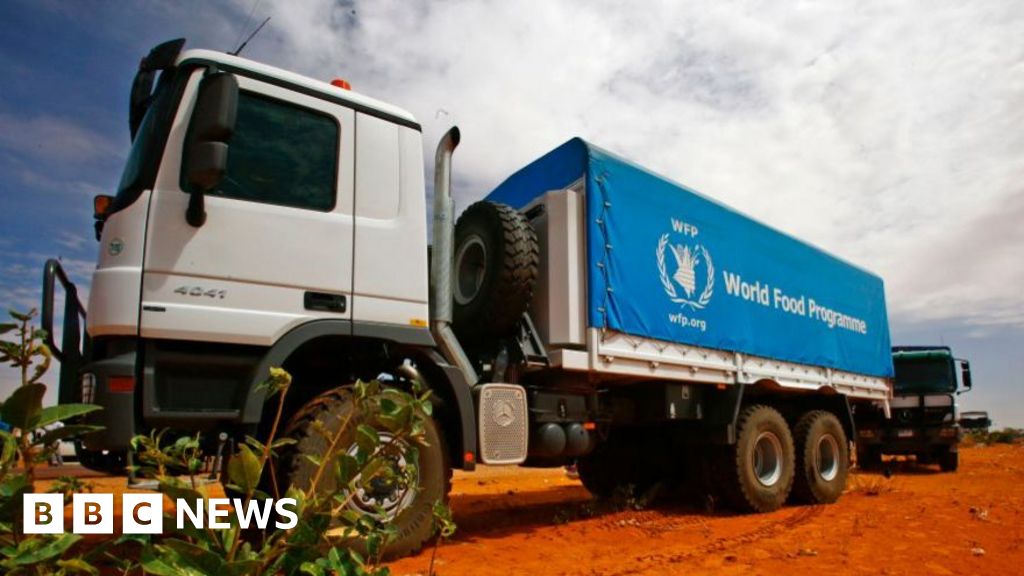 Five killed after UN aid trucks attacked en route to el-Fasher